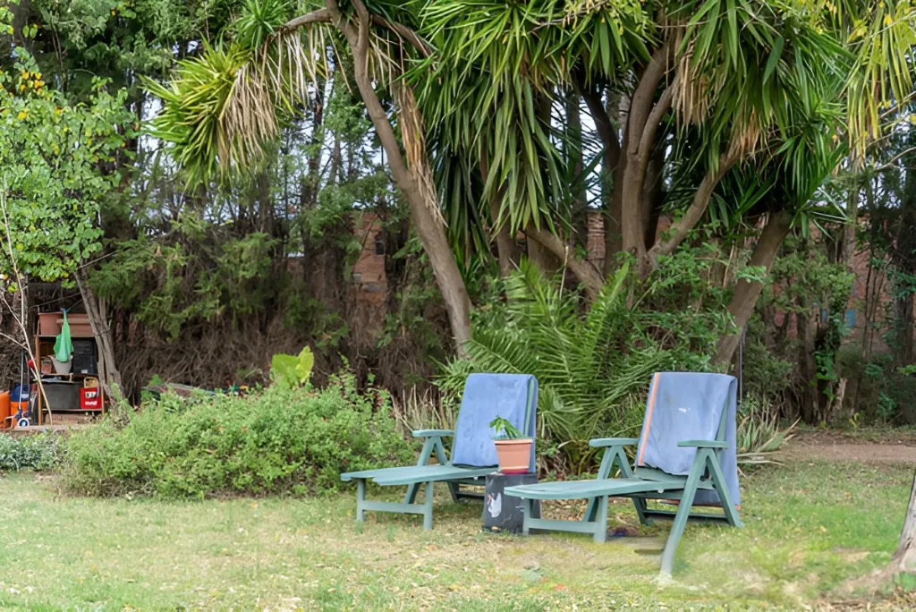 Era de pinyol 4.webp