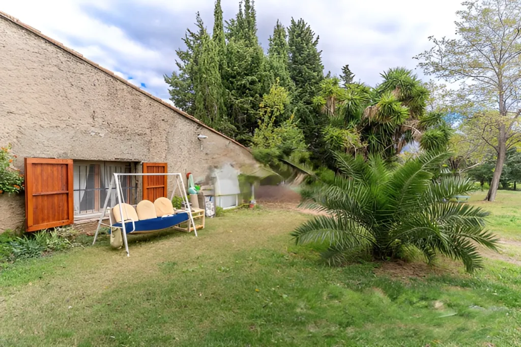 Era de pinyol 44.webp