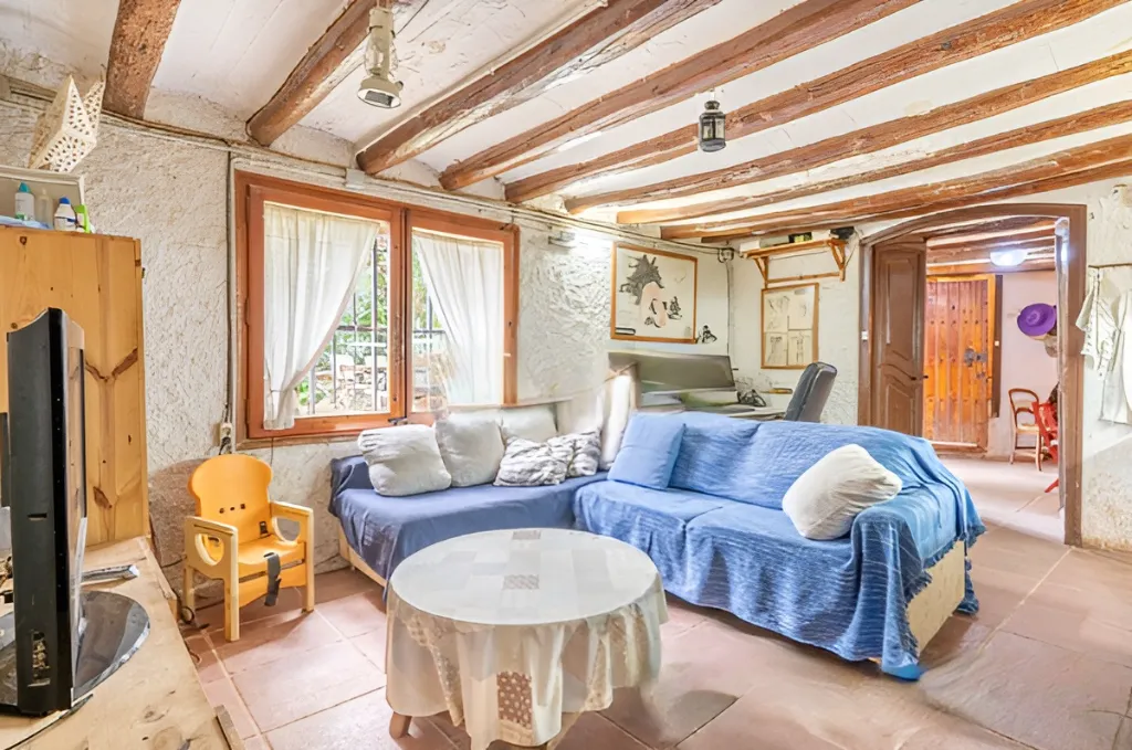 Era de pinyol 10.webp