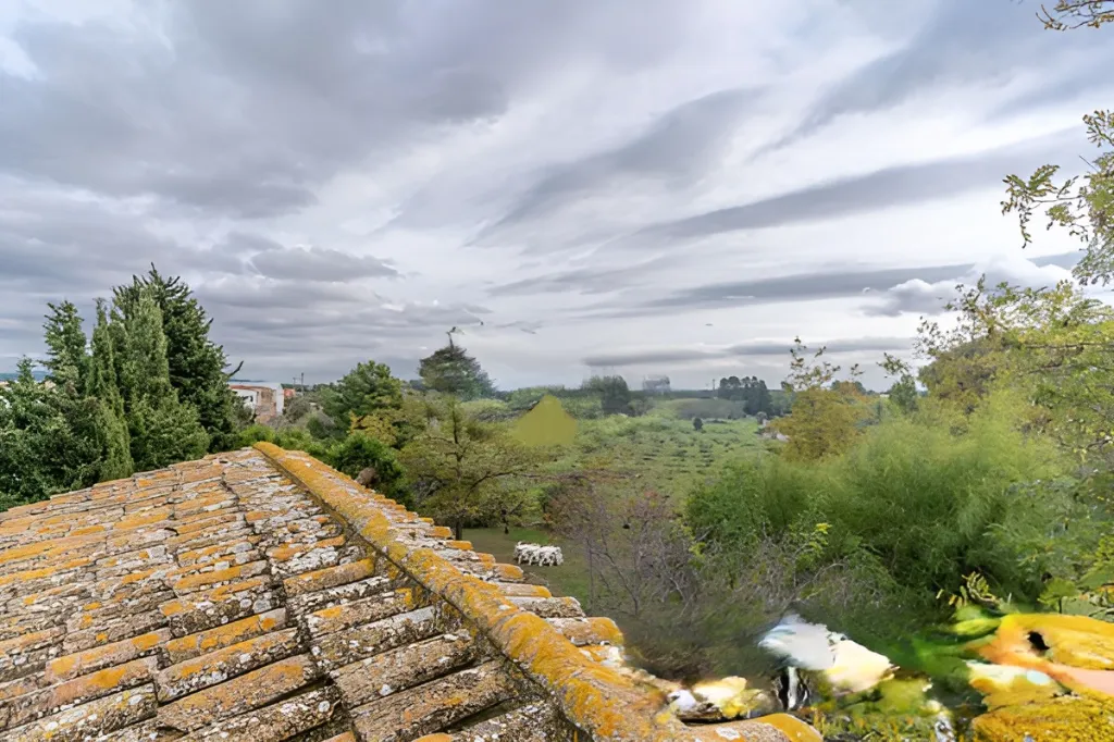 Era de pinyol 35.webp