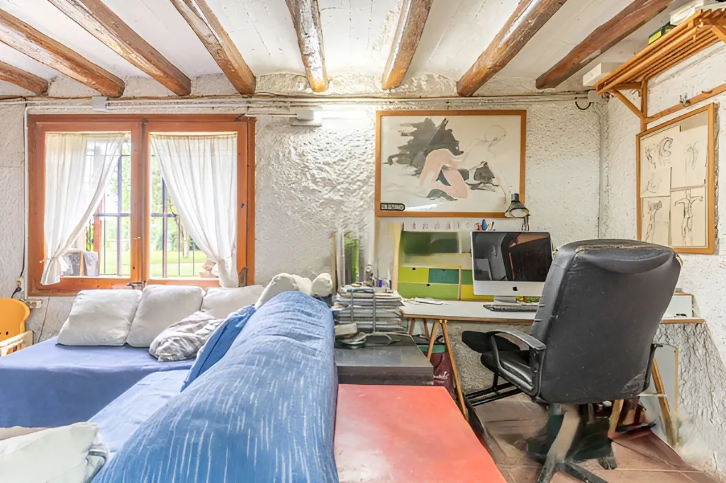 Era de pinyol 13.webp