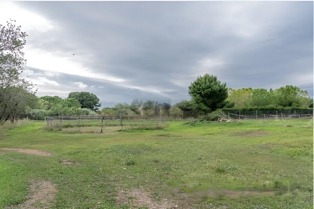 Era de pinyol 7.webp