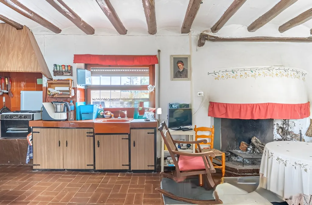 Era de pinyol 18.webp