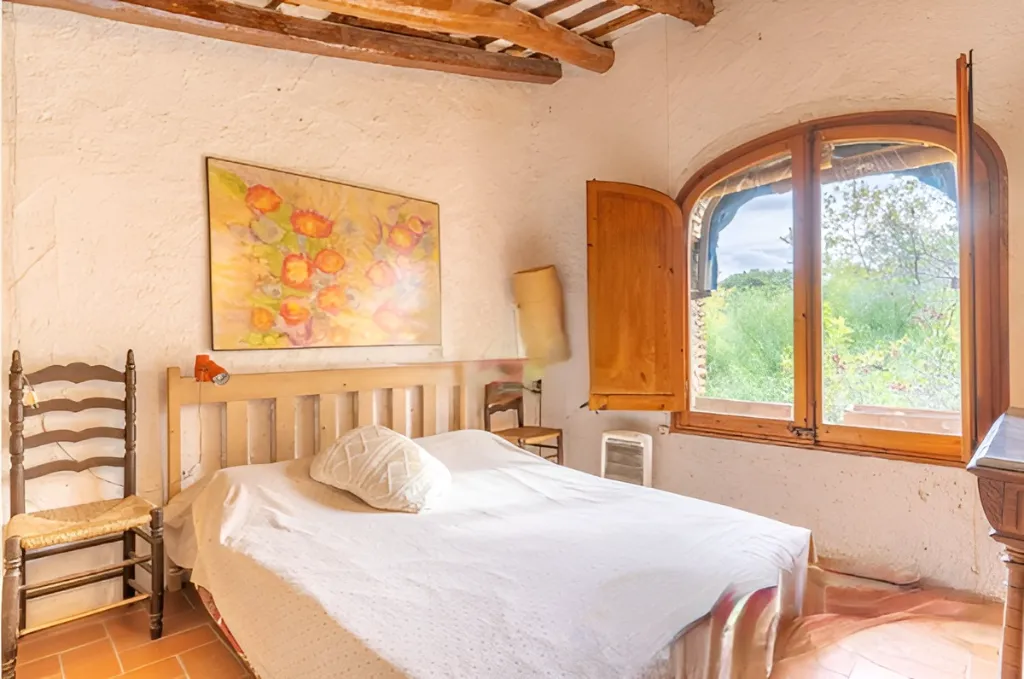 Era de pinyol 28.webp