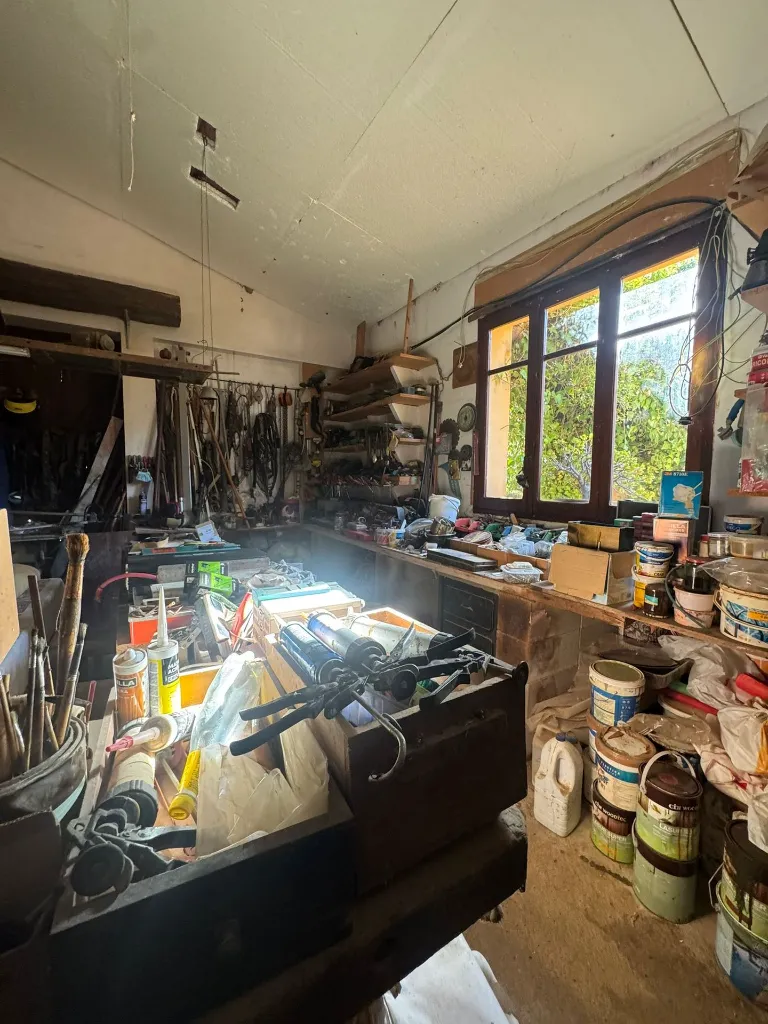 WhatsApp Image 2026-01-02 at 10.56.19 (6).webp