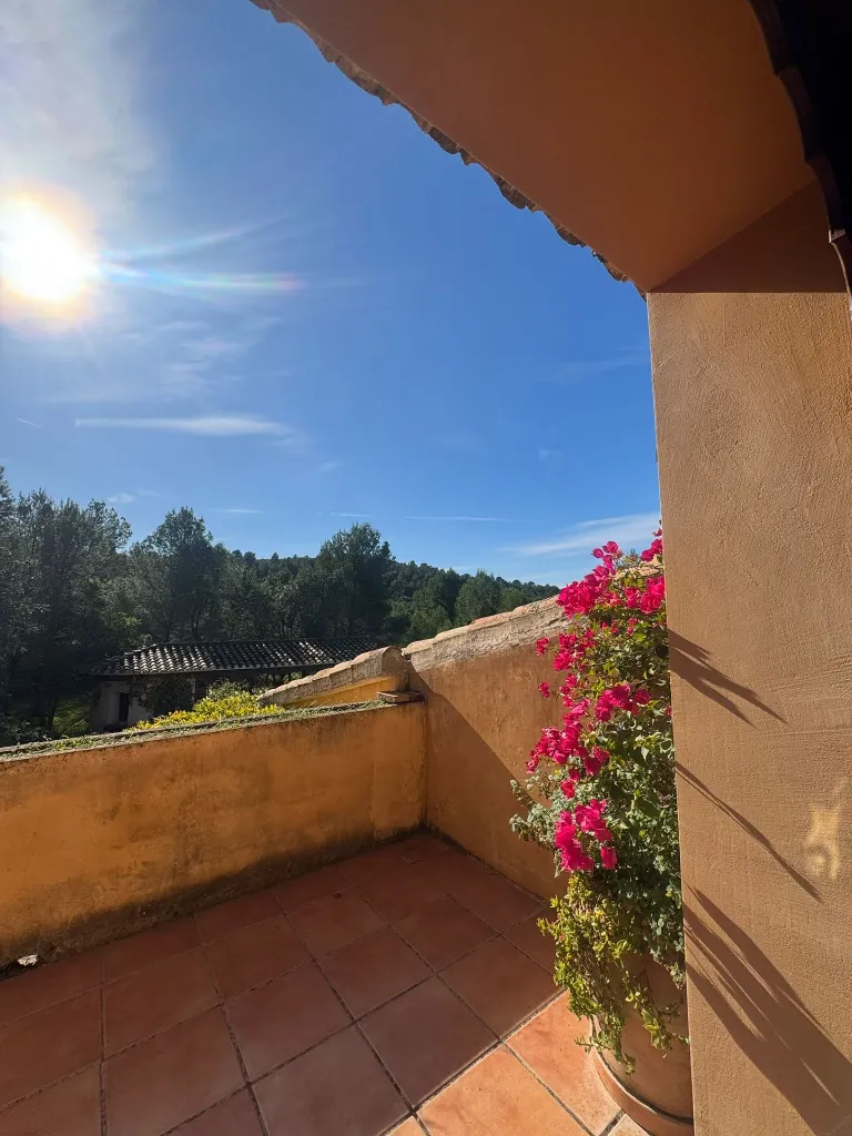 WhatsApp Image 2026-01-02 at 10.56.20 (4).webp