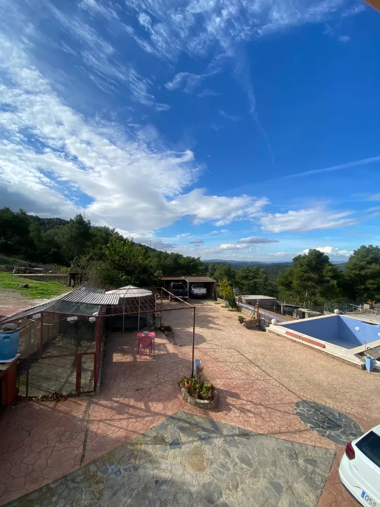 Imagen de WhatsApp 2024-10-22 a las 14.16.50_5f5310b1.webp