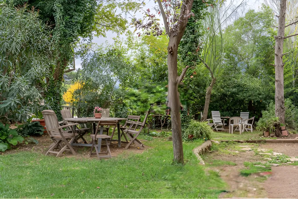 Era de pinyol 43.webp