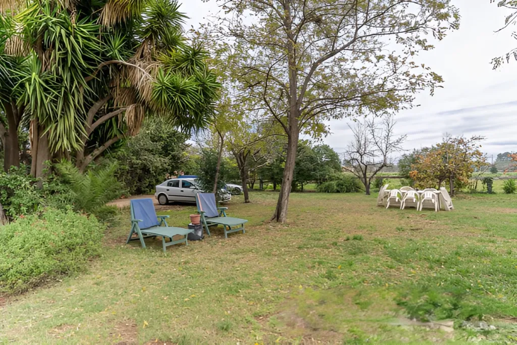 Era de pinyol 3.webp